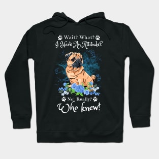 Wait What I Have An Attitude No Really Who Knew, Funny Pug Sayings Hoodie